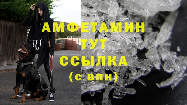 гашик Вязники