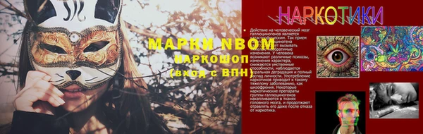 мдпв Белокуриха