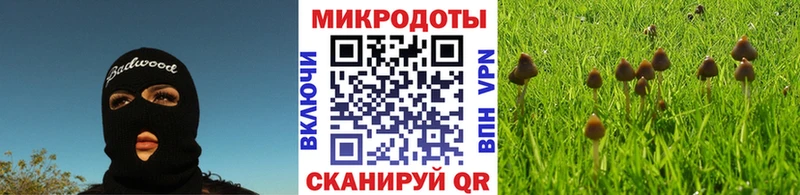 Псилоцибиновые грибы Cubensis  где купить наркотик  Вяземский 