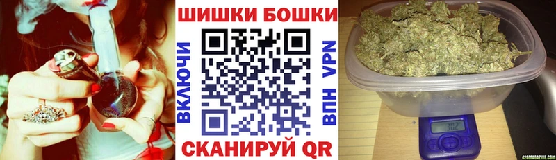 Шишки марихуана сатива  Вяземский 